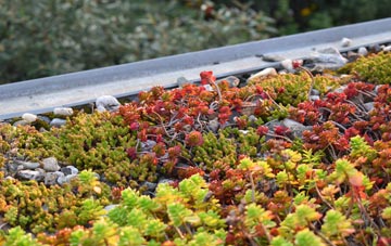 the cost of Abergarwed green roof installation