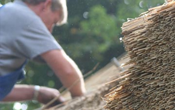 professional Abergarwed thatchers