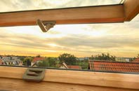 rated Abergarwed roof window companies